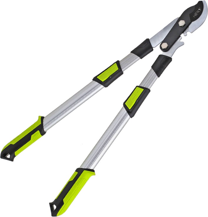     Herly -       Pro - 