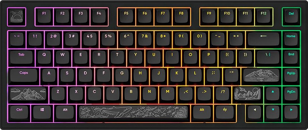   Dark Project ALU81A Terra Nostra - TKL, USB , ANSI Layout, RGB  - 