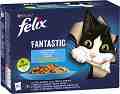 ������� �� ����� Felix Fantastic - 12 x 85 g, � ���� ���, ������, ������ � ����� � ����, �� ��� 1 ������ - �������