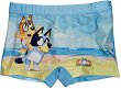   E plus M -   Bluey - 