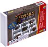  Learning Resources -   Geo Safari -  