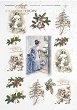   ITD Collection - 