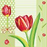    Daisy - 