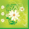    Daisy - 