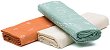  Fillikid - 