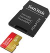 Micro SDHC   32 GB SanDisk
