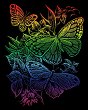 ������ ��� ������ ������� - �������� - 