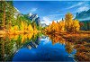 ������� �����, ���������� ���� ��������, ��� - 
