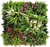     My Garden ThalloB CCGK002BV004 - 50 x 50 cm - 