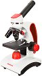  Discovery Pico -   - 