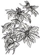 ����� �� �������� � 3D ����� Sizzix Mini Poinsettia