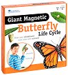      Learning Resources -      -  