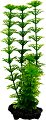 ���������� �������� �� �������� Tetra Ambulia - 