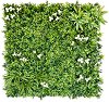     My Garden Desert Oasis CCGA107 - 100 x 100 cm - 
