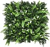     My Garden Gentle Jungle CCGA040 - 50 x 50 cm - 