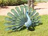   Nortene -  - 
