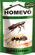       Homevo