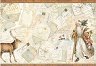   Stamperia -    