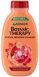 Garnier Botanic Therapy Ricin Oil & Almond Shampoo - 