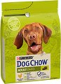 ���� ����� �� ������ Dog Chow Adult - 