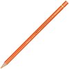 ������ ����� Caran d'Ache Pablo