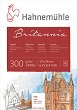      Hahnemuhle - 
