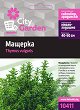    -   City Garden - 