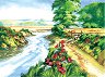    Royal & Langnickel -   