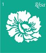   Rosa - 