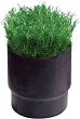 ����� �� ����������� Rain Bird Sod Cup - �� ������������ �� ����� 8005 - 