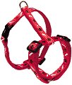    Nobby Mini - 