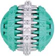     Trixie -    ,   Denta Fun - 
