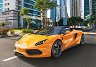 Arrinera Hussarya 33 - 