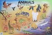    : Animals of the World 1 - 