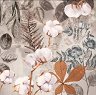    Ambiente - 