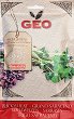 ��� ���� �� ��������� Bavicchi - �� ������� Geo - 