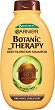 Garnier Botanic Therapy Avocado Oil Deep Nutrition Shampoo - 