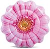   Intex -  - 