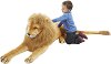   - Melissa and Doug - 