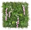    My Garden Blooming Creek CCGF224 - 100 x 100 cm - 