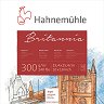      Hahnemuhle - 