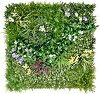     My Garden Blossom Carnival CCGF045 - 100 x 100 cm - 