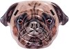   Intex -  - 