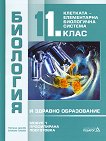      11.  -  .  1:  -    - 