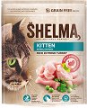 ���� ����� �� ����� SHELMA Kitten - 
