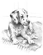    Royal & Langnickel - 