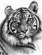    Royal & Langnickel - 