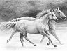    Royal & Langnickel - 