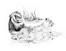    Royal & Langnickel - 