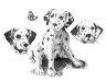    Royal & Langnickel - 